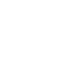 Natural Language Processing (NLP) 